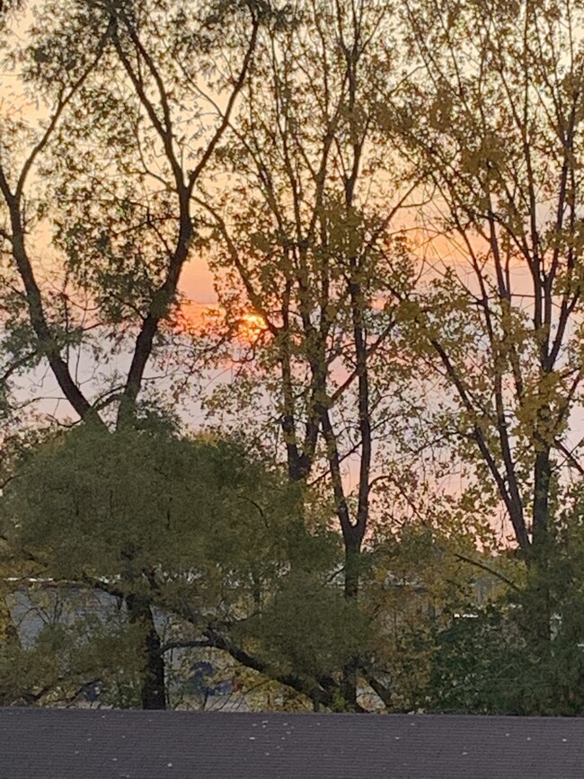 View from deck - 1005 16th St NE #2