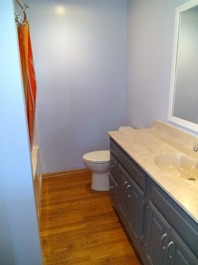 upstairs bath - 415 W 1st St