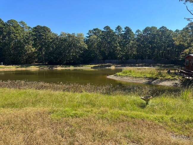 Building Photo - Getaway in the woods - Winnsboro