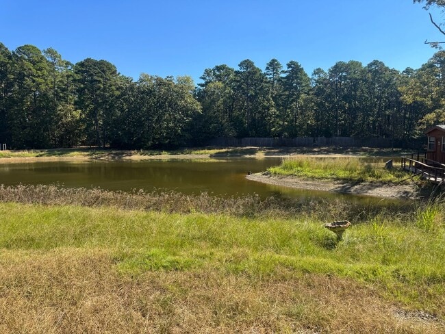 Foto del edificio - Getaway in the woods - Winnsboro