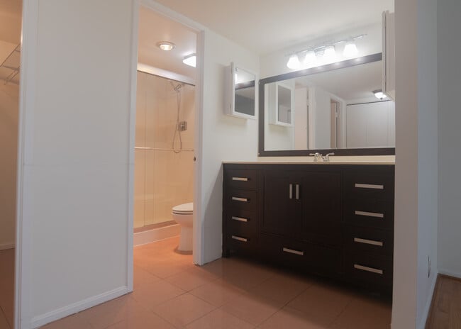 Master Bath (a) - 203 Yoakum Pky