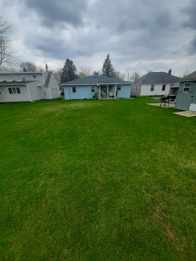 Back yard - 1223 Hillview Dr