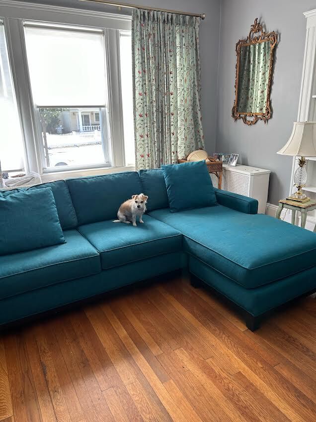 Living room with large windows (dog not included) - 45 Orchard Cir