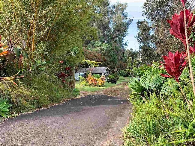 Camino de entrada a la casa - 2190 Piiholo Rd