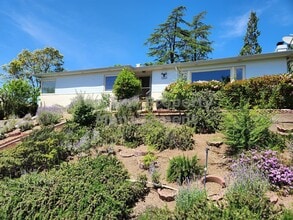 Building Photo - 3060 Consuelo Rd