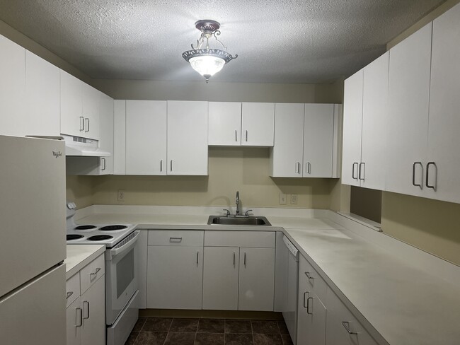 Building Photo - The Falls Loft