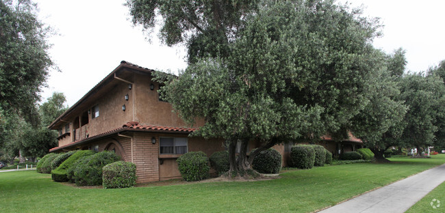 Building Photo - Live Oak Plaza