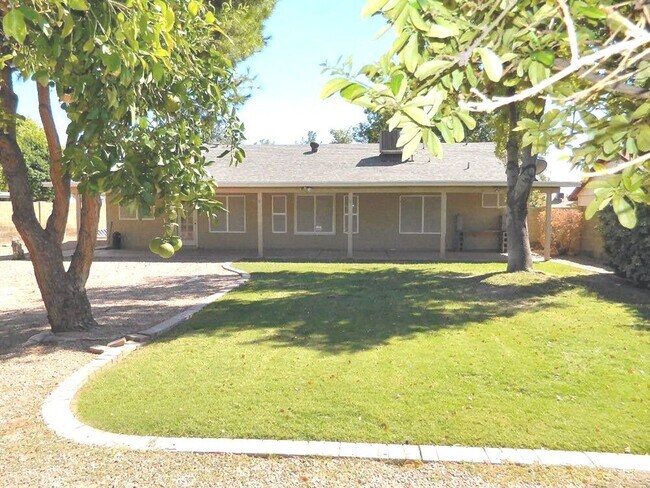 Foto del edificio - Nice Chandler Home