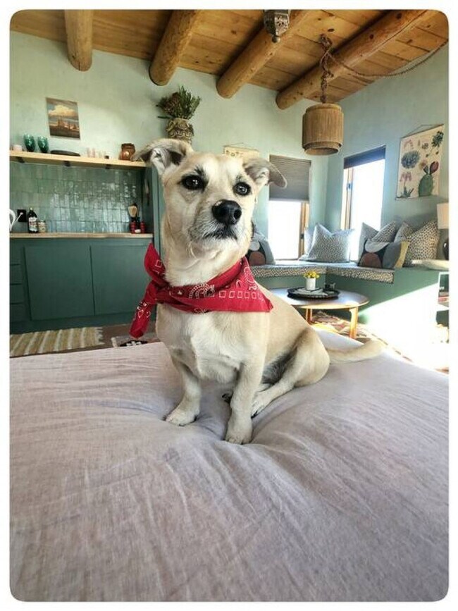 Foto del edificio - 750 Chicoma Vista