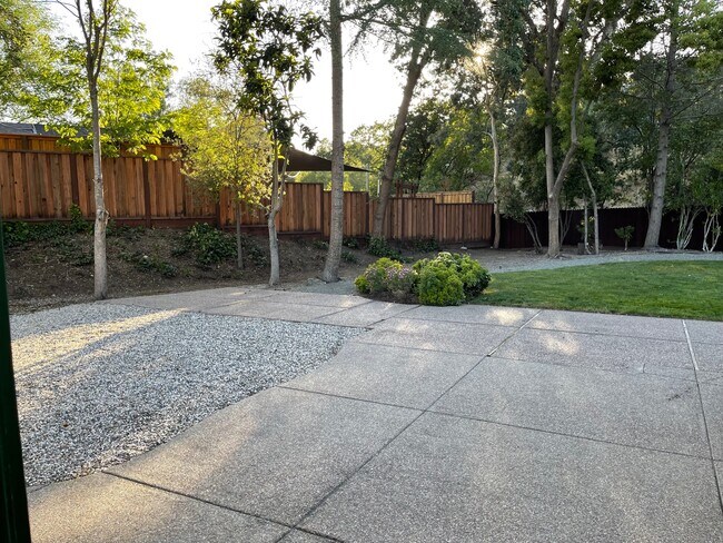 Patio Area - 319 Marshall Dr