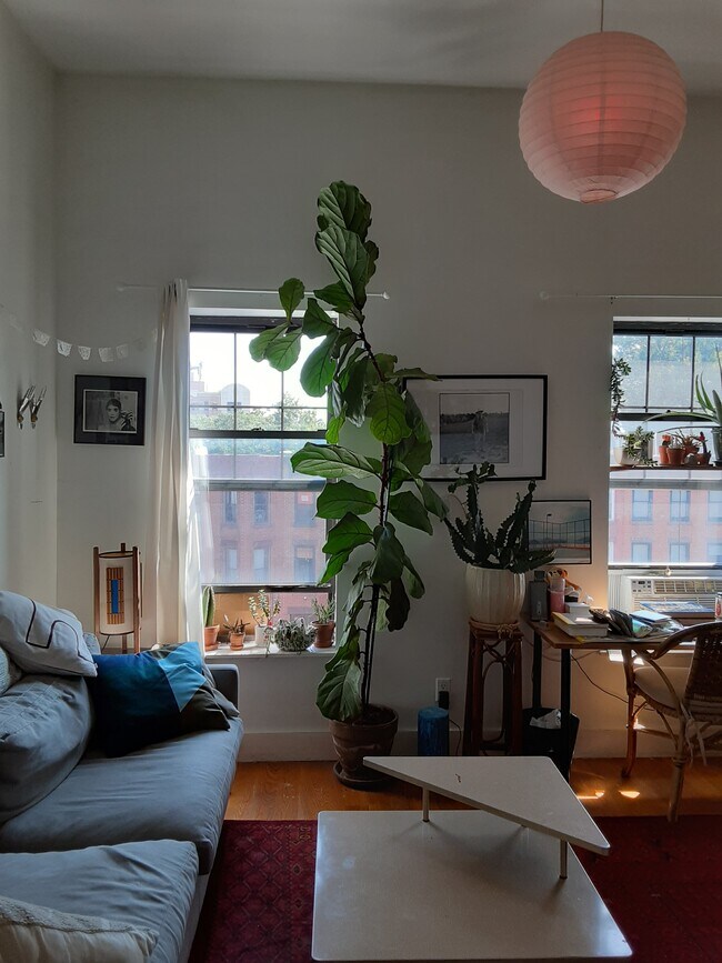 F bdr - 255 Lexington Ave