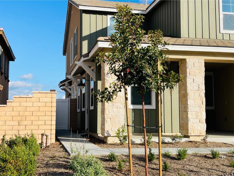Primary Photo - 30836 Mountain Ash Cir