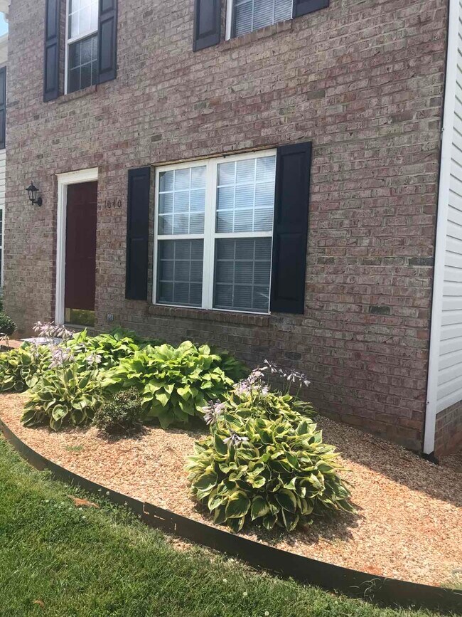 Building Photo - 1040 Blue Ridge View Cir