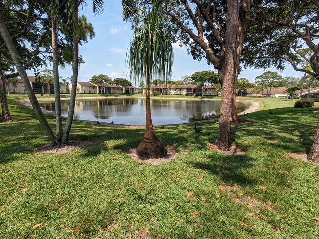 Foto del edificio - 711 Sunny Pine Way