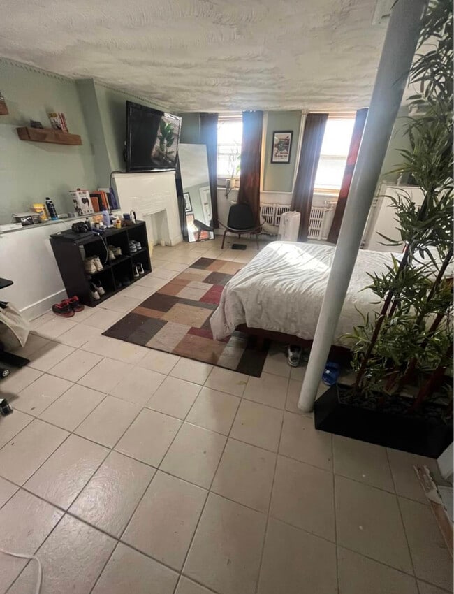 238 Lark St, Albany, NY 12210 Townhome Rentals in Albany NY