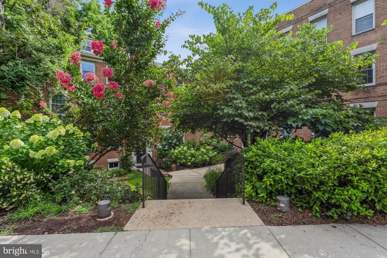 2731 Ordway St NW Unit 3, Washington, DC 20008 Room for Rent in