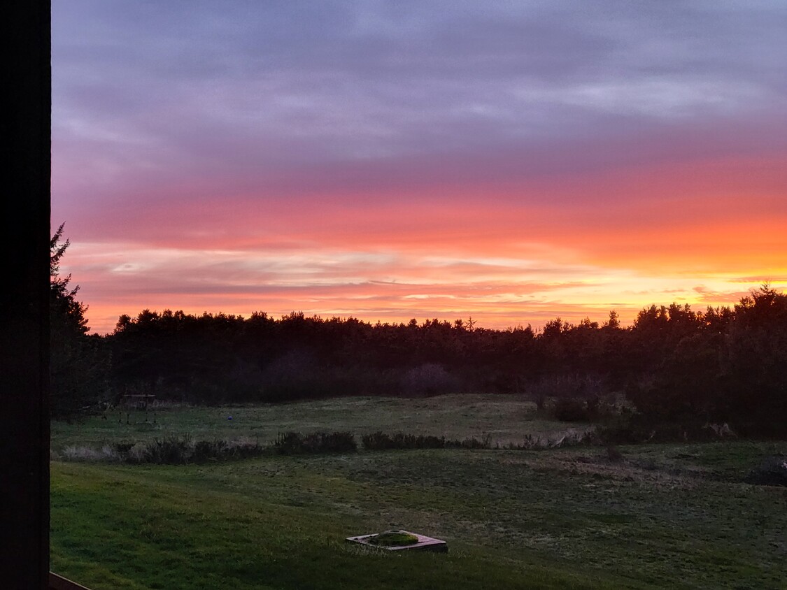 Beautiful sunsets! - 2855 S Forrest St