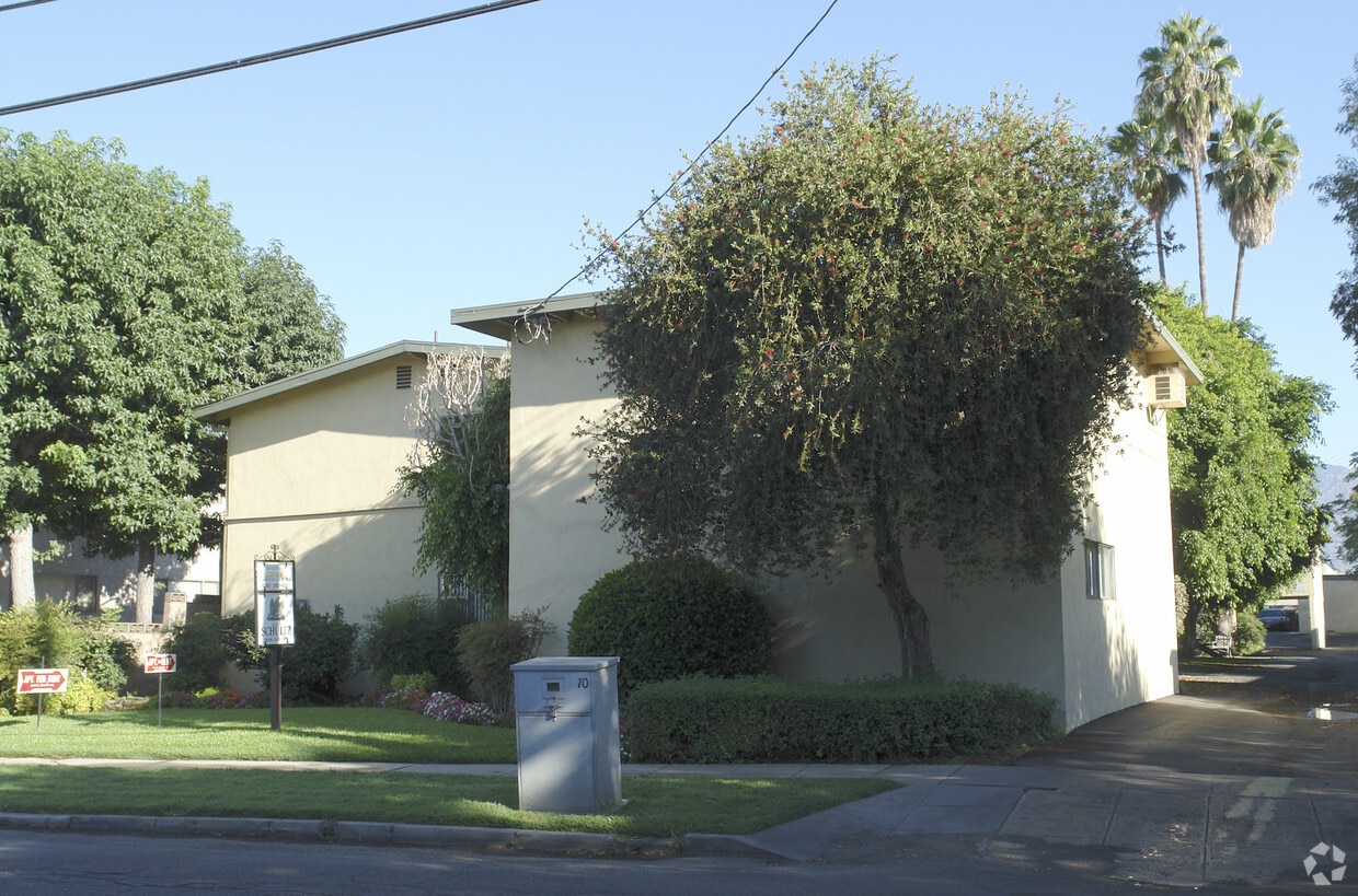 Building Photo - Live Oak Apts
