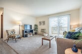 Located at 5405 Century Ave in Middleton, WI, this single-floor, 2-bedroom, 1-bathroom home offers a well-organized layout across a comfortable footprint. The living room serves as the heart of the home, featuring light wood-style flooring, a ceiling fan, and a sliding glass door that opens to a private patio, flooding the space with natural light and providing outdoor access. A dining area adjoins the living room, creating a seamless flow for everyday living and entertaining. The galley-style kitchen is efficiently designed with warm wood cabinetry lining both walls, offering ample storage, a double sink, and white appliances including a range, dishwasher, and refrigerator. Light vinyl plank flooring completes the kitchen's clean, functional look. Both bedrooms are carpeted and bathed in natural light from large windows with outdoor views of surrounding greenery. The primary bedroom is generously sized and features louvered built-in closet doors, providing substantial storage. The second bedroom also includes a window and dedicated closet space. With four closets distributed throughout, storage is a standout feature of this home. A hallway connects the main living areas to the bedrooms and bathroom, maintaining a practical and efficient floor plan throughout.