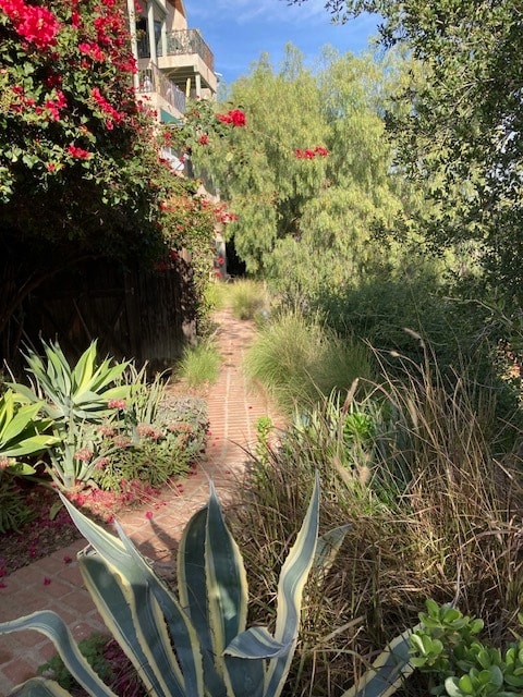Garden pathway - 170 Thompson Ave