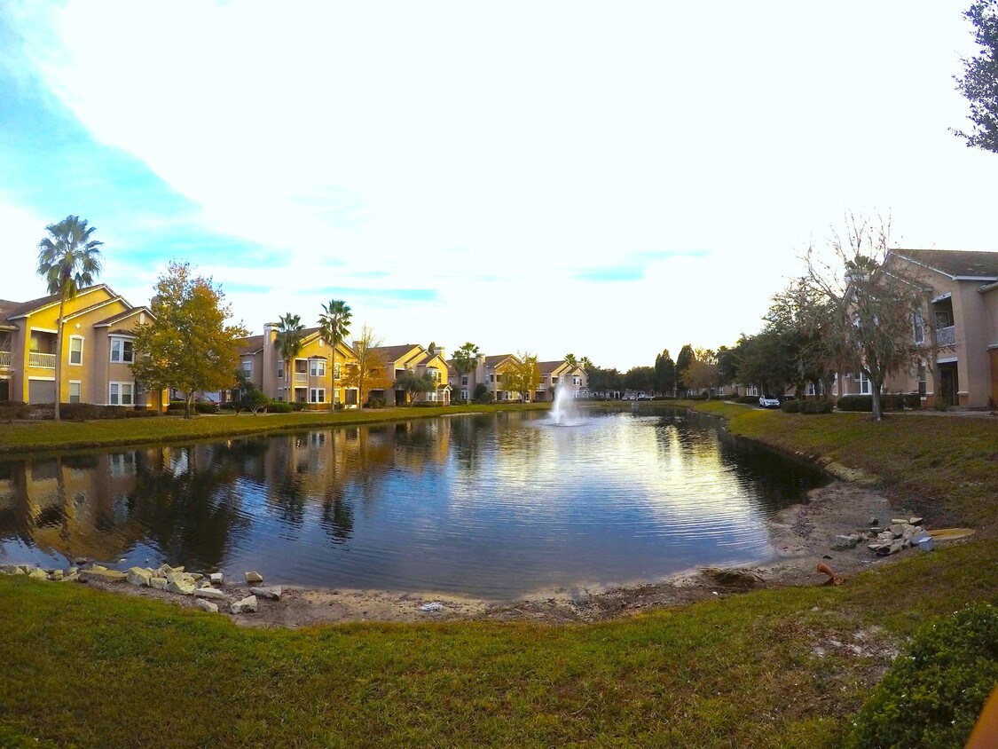 18108 Villa Creek Dr, Tampa, FL 33647 Townhouse for Rent in Tampa, FL