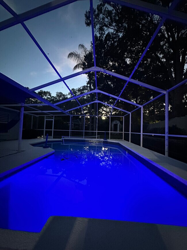 15101 Bald Eagle St, Tampa, FL 33625 House Rental in Tampa, FL