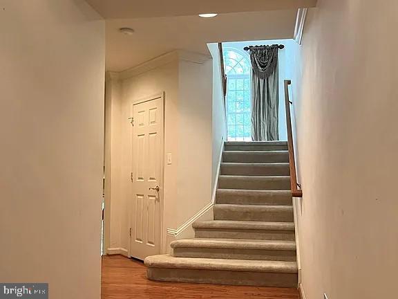 Foto del edificio - 14368 Verde Pl