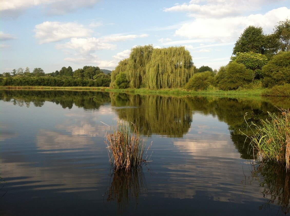 private Lake Athalon - 4279 Janes Ln