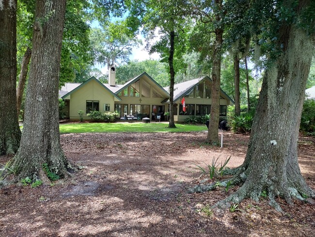 Back yard - 8 Loblolly Ln