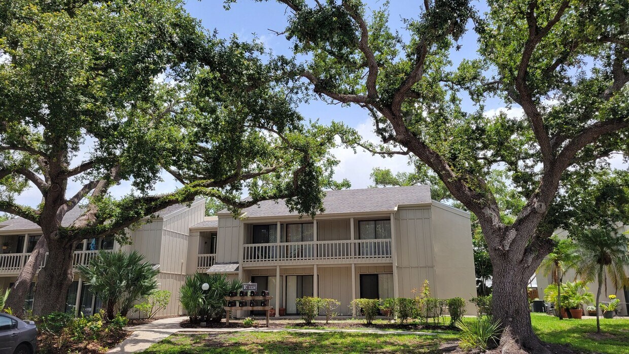 Foto principal - Annual UNfurnished renovated ground floor ...