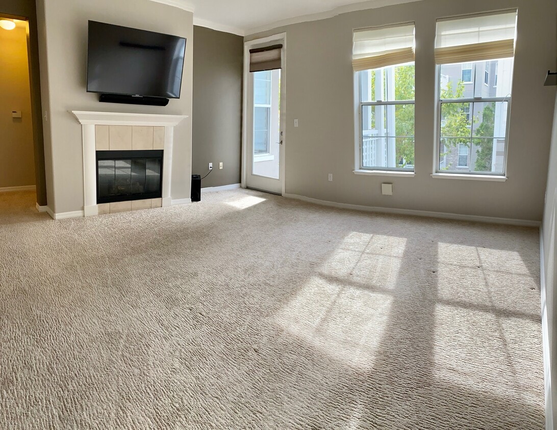 Living Room - 3901 Lick Mill Blvd