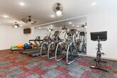 Located in the Castleberry Hill neighborhood of Atlanta, Georgia, this well-equipped fitness center offers a comprehensive workout environment across a single open floor. The space is designed with functionality and comfort in mind, featuring patterned carpet tiles in a bold red and gray palette that add visual interest underfoot throughout the entire area.

The cardio zone is prominently stocked with Matrix-brand treadmills, elliptical trainers, and stationary bikes, all arranged to maximize space and airflow. A dedicated flexibility and group exercise area provides yoga mats, stability balls, and a rowing machine, catering to a diverse range of fitness routines. The strength training section includes a dumbbell rack, weight benches, and cable resistance machines, offering a thorough complement of free weights and functional training options.

Architectural elements such as white structural columns punctuate the floor plan while ceiling-mounted dual-blade industrial fans circulate air effectively throughout. Full-length mirrors line key walls, enhancing the sense of openness and allowing users to monitor their form. A row of horizontal windows along one wall brings in natural light and views of the surrounding streetscape. Recessed lighting ensures consistent illumination throughout the space. Wall-mounted televisions add an entertainment element to the cardio area, completing this fully outfitted fitness facility.