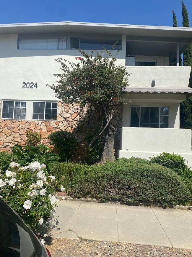 Foto del edificio - 2024 N Commonwealth Ave