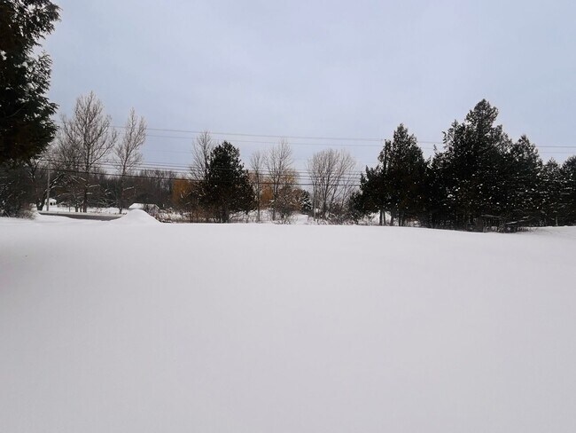 Foto del edificio - Charming Log Cabin Rental – 3 Bedroom / 2 Bath | Carthage School District