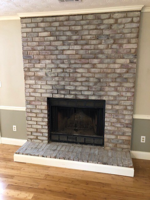 Building Photo - Newly Renovated Home on 2 Acres!