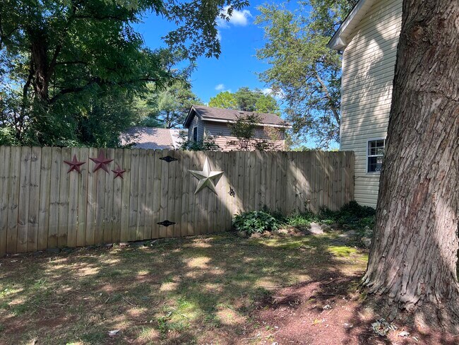 Fenced in backyard - 209 Hillside Ct
