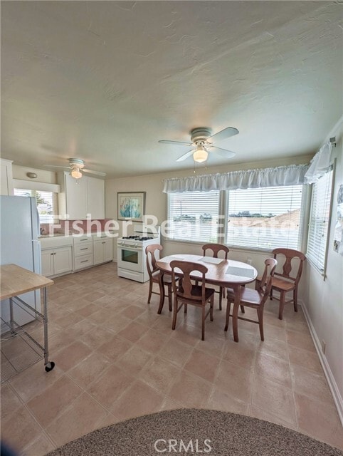 Foto del edificio - 572 Harloe Ave