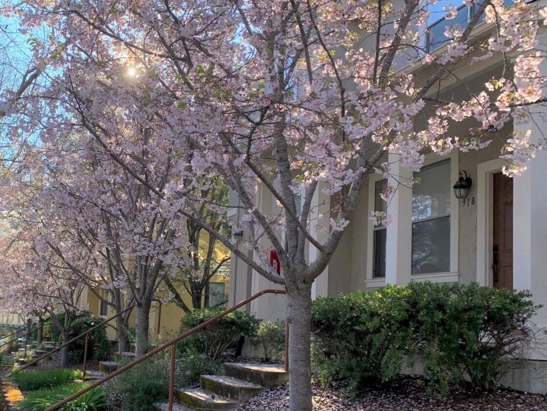 Spring - 834 Nobel Dr
