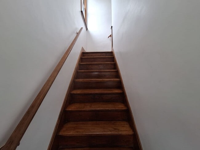 Photo - 109 Daniels St Apartment