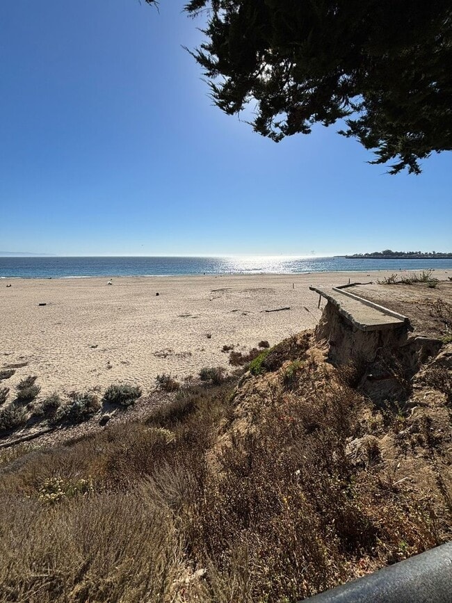 Building Photo - Ocean Front Condo with Seabright Charm