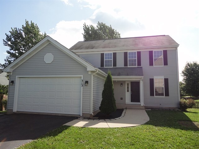 Primary Photo - 313 S Shagbark Court