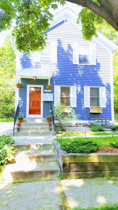 Primary Photo - 195 Oneida St