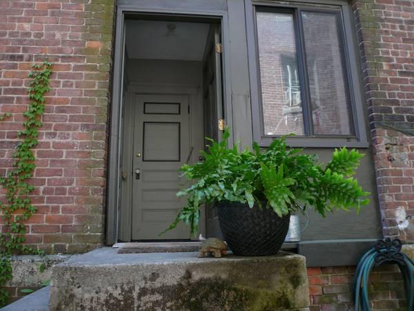 Building Photo - 127 Cedar St