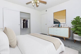 Interior Photo - Sahara and Playa Palms