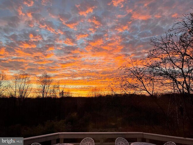 Building Photo - 1918 Contralto Ct