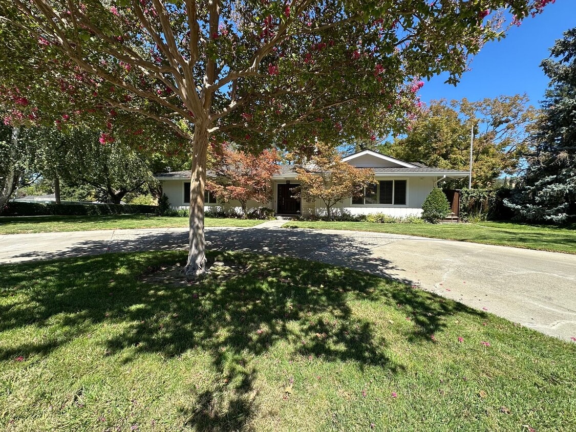 Primary Photo - 5 Bed 3 Bath In Alamo W/ Pool