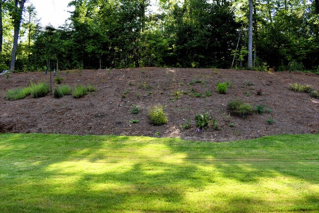 View from patio - 35 Blossom Wood Dr