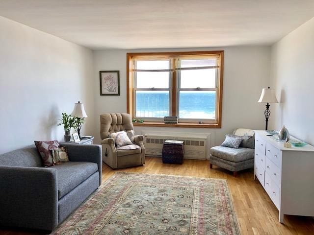 Primary Photo - 133 Beach 120th St