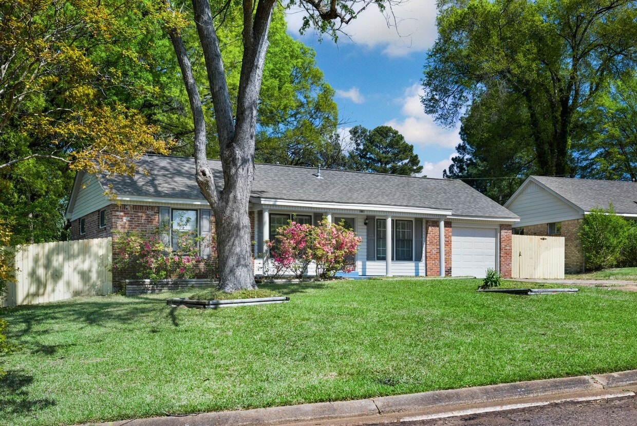 3 bed 2 bath recently renovated in Southaven - 3 bed 2 bath recently renovated in Southaven