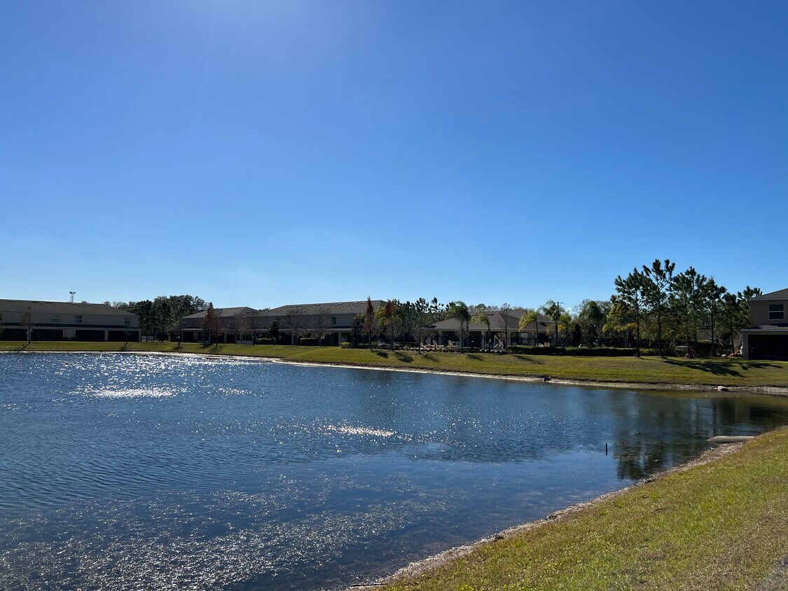 9947 Hound Chase Dr, Gibsonton, FL 33534 Townhome Rentals in